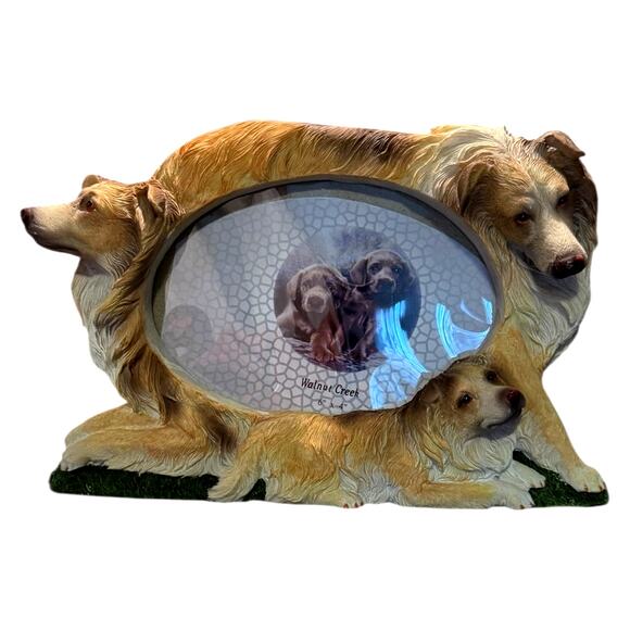 3D Collie Picture Frame Family Dog Brown White Hand Painted Holds 4x6 Photo NEW - Picture 7 of 11